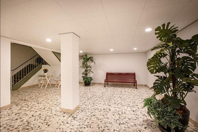 Foto 2: Amstelveen - Donau - Foto 2