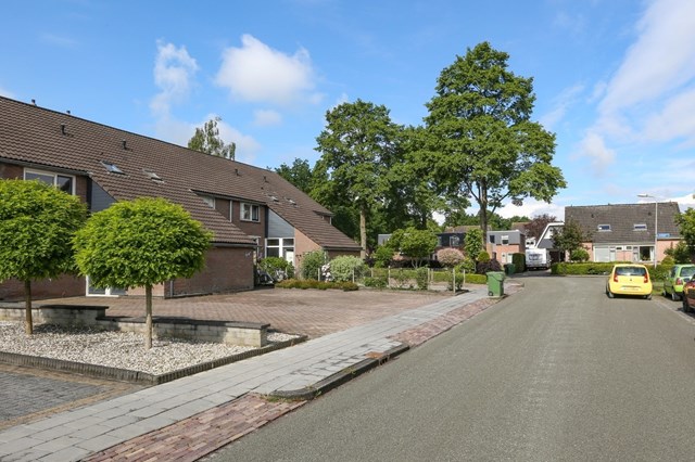 Foto 6: Surhuisterveen - De Houtduif - Foto 6