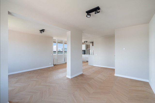 Foto 3: Den Haag - Van Hogenhoucklaan - Foto 3