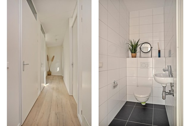 Foto 2: Eindhoven - Meergras - Foto 2
