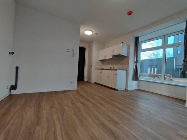 Foto 3: Eindhoven - Woenselsestraat - Foto 3