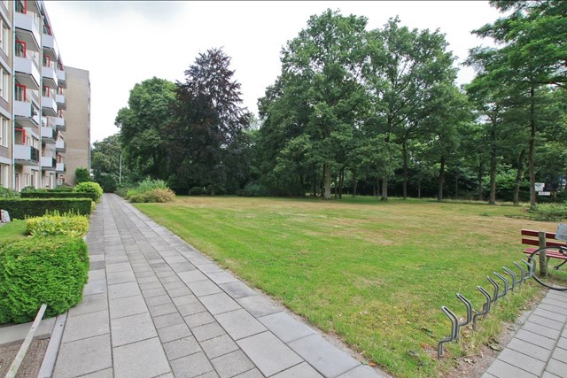 Foto 6: Zeist - Arnhemse Bovenweg - Foto 6