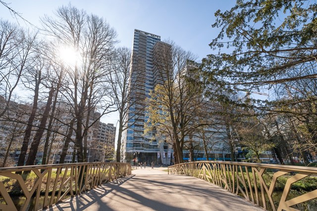 Foto 1: Den Haag - Bezuidenhoutseweg - Foto 1