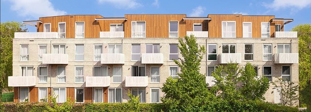 Foto 3: IJsselstein - Koningin Julianalaan - Foto 3