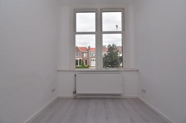 Foto 5: Den Haag - Ieplaan - Foto 5
