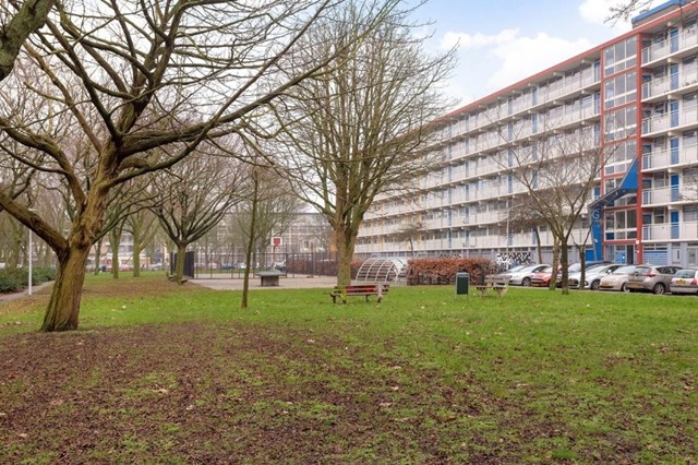 Foto 1: Leiden - Jacques Urlusplantsoen - Foto 1