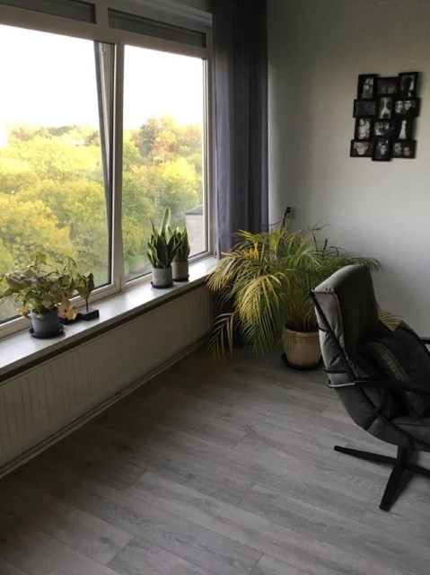 Foto 4: Leiden - Bachstraat - Foto 4