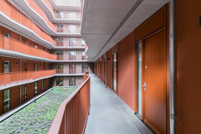 Foto 4: Eindhoven - Philitelaan - Foto 4