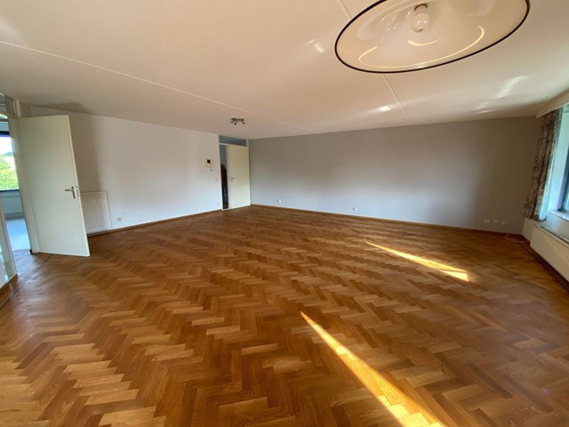 Foto 5: Waalre - Dorpsstraat - Foto 5