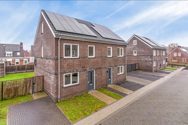 Foto 2: Sint Odiliënberg - Platanenlaan - Foto 2