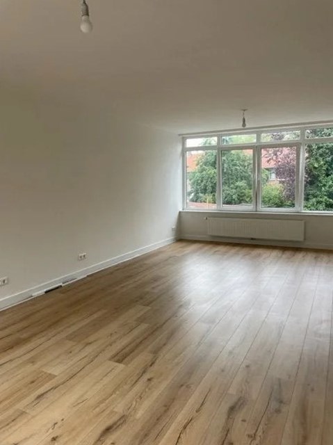 Foto 4: Eindhoven - Jacob Oppenheimstraat - Foto 4