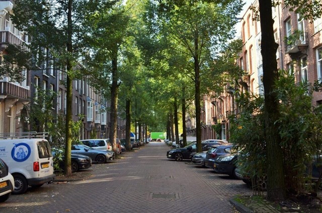Foto 2: Amsterdam - Johannes Verhulststraat - Foto 2
