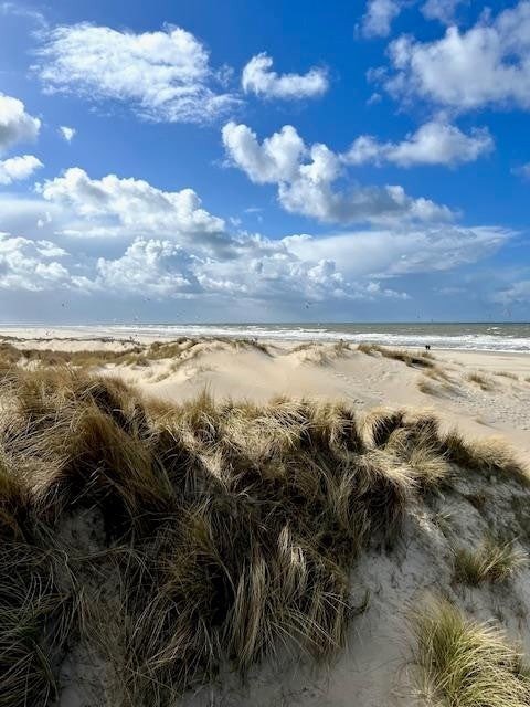 Foto 2: Den Haag - Spreeuwenlaan - Foto 2