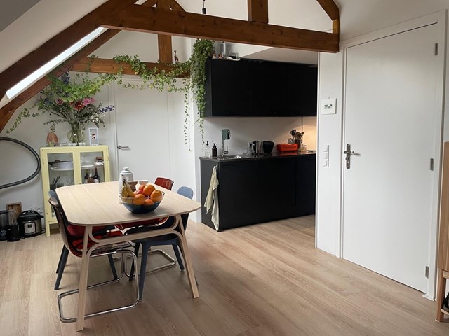 Foto 7: Zwolle - Burgemeester van Roijensingel - Foto 7