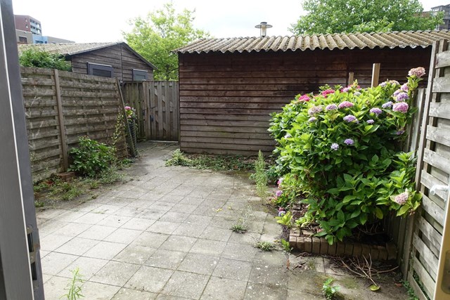 Foto 5: Apeldoorn - Linie - Foto 5