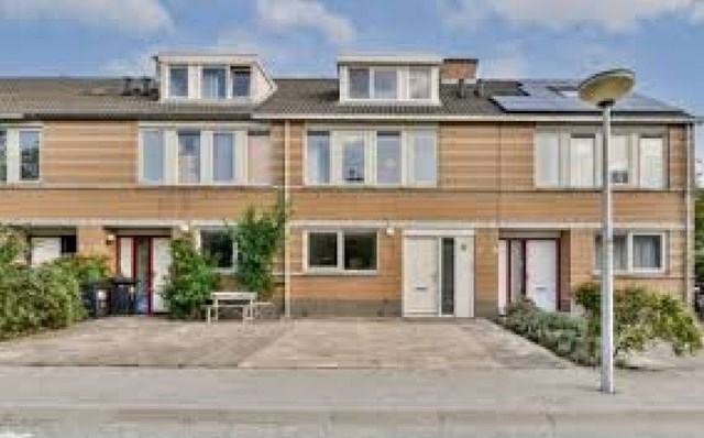 Foto 1: Diemen - Houtbosch - Foto 1