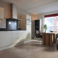 Utrecht, Pablo Picassostraat, 2-kamer appartement - foto 4