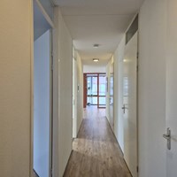 Rotterdam, Koningslaan, portiekflat - foto 6