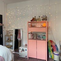 Zwolle, Lindestraat, kamer - foto 5