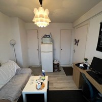 Groningen, Peizerweg, kamer - foto 4