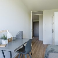 Den Haag, Loevesteinlaan, bovenwoning - foto 6