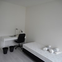 Eindhoven, Leenderweg, kamer - foto 5