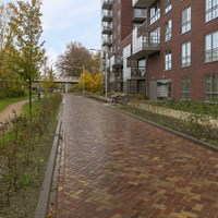 Tilburg, Havendijk, 3-kamer appartement - foto 5