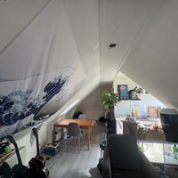 Leeuwarden, Weaze, zelfstandige studio - foto 4