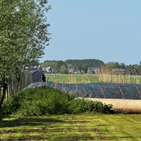 Zoeterwoude, Weipoortseweg, eengezinswoning - foto 6