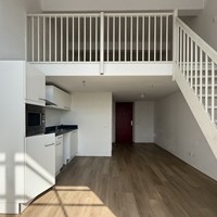 Deventer, Diepenveenseweg, zelfstandige studio - foto 5