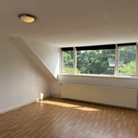 Eindhoven, Rode Kruislaan, kamer - foto 4