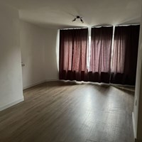 Eindhoven, Orchideeenstraat, zelfstandige studio - foto 4