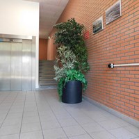 Katwijk (ZH), Schimmelpenninckstraat, 3-kamer appartement - foto 4