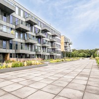 Eindhoven, Grenenhout, 2-kamer appartement - foto 6