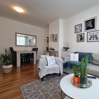 Rotterdam, Dijkstraat, 2-kamer appartement - foto 3