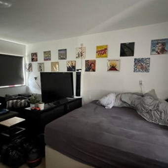 Breda, Baronielaan, kamer - foto 3