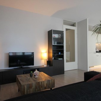 Utrecht, Pablo Picassostraat, 2-kamer appartement - foto 3