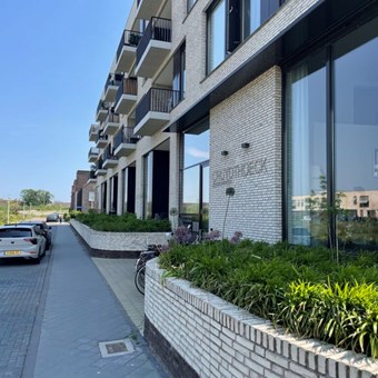 Utrecht, Wilde rucolavliet, 3-kamer appartement - foto 2