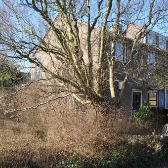 Muiderberg, Van der Helstpark, hoekwoning - foto 3