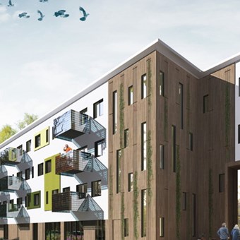 Velp (NB), Waterstraat, zelfstandige studio - foto 2