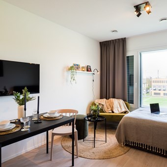 Tilburg, Reitseplein, zelfstandige studio - foto 2