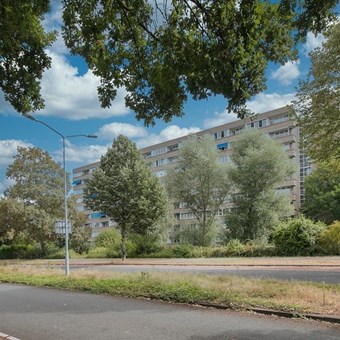Venlo, Rijnbeekstraat, 2-kamer appartement - foto 2