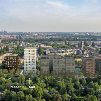 Amsterdam, Haarlemmerweg, 3-kamer appartement - foto 3