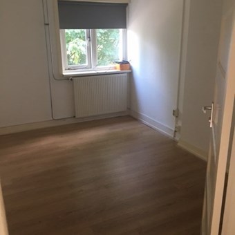 Arnhem, Van Oldenbarneveldtstraat, kamer - foto 2