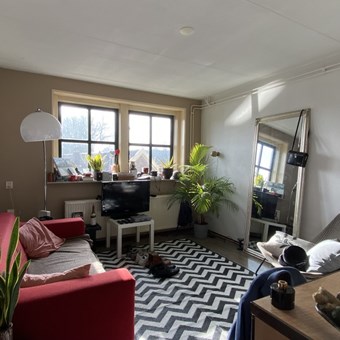 Zutphen, Tadamasingel, 2-kamer appartement - foto 2
