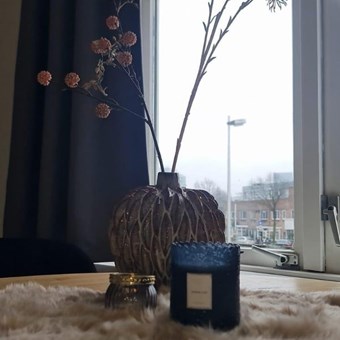 Utrecht, Vleutenseweg, 2-kamer appartement - foto 3