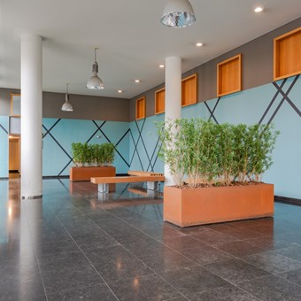 Amsterdam, Jan van Galenstraat, 4-kamer appartement - foto 3