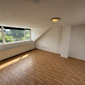 Eindhoven, Rode Kruislaan, kamer - foto 3