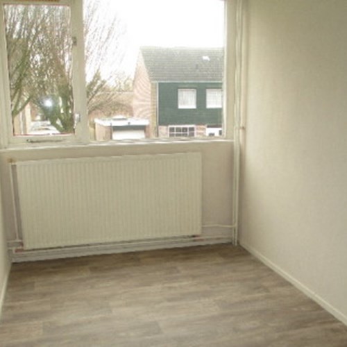 Oss, Potgieterstraat, kamer - foto 1