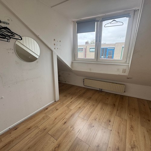Leiden, Van der Werfstraat, kamer - foto 1